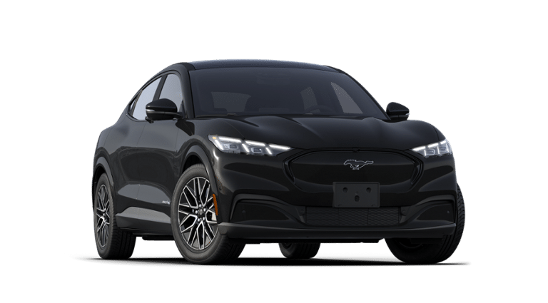 Mustang Mach-E® vehicle